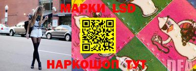 кокс Кингисепп