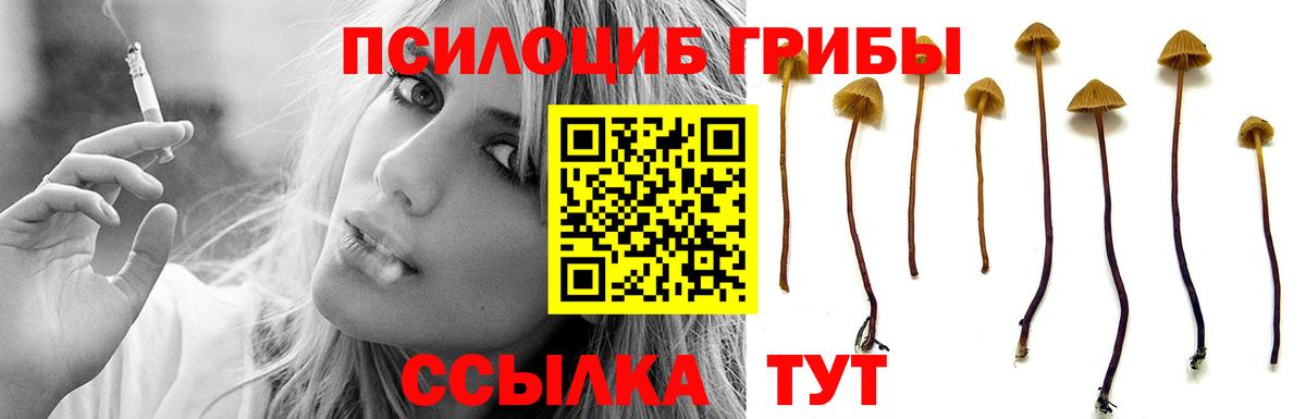 Галлюциногенные грибы Magic Shrooms  где найти   Владимир  Псилоцибиновые грибы ЛСД  Вход с VPN 